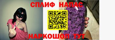 стафф Заводоуковск