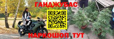 стафф Заводоуковск